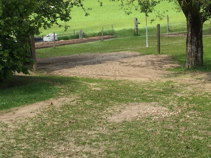 hochwasser_5.jpg hochwasser_5.jpg