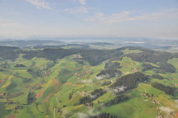 gzel_7_emmental_3.jpg