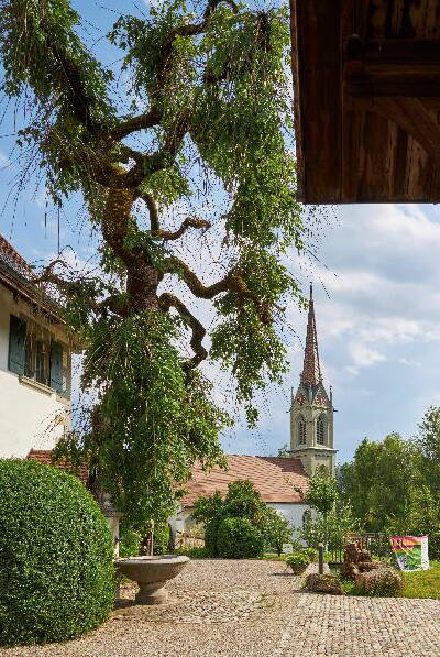 Pfarrhaus mit Brunnenesche Sommer 2022