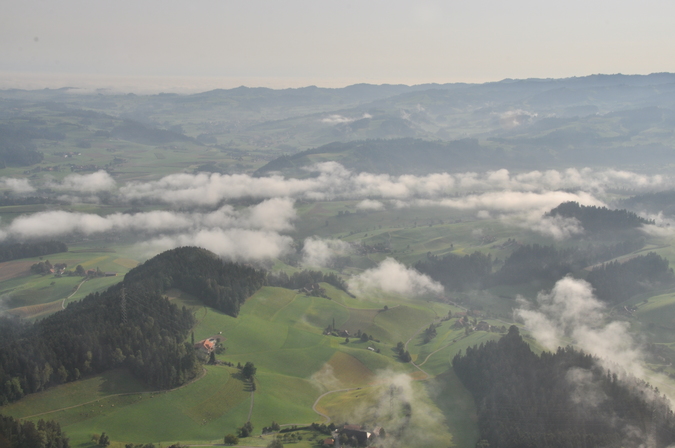gzel_7_emmental_1.jpg