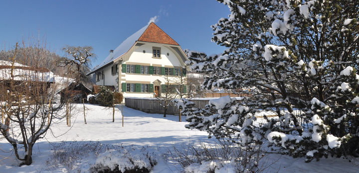 dsc_0822_-_kopie.jpg dsc_0822_-_kopie.jpg
