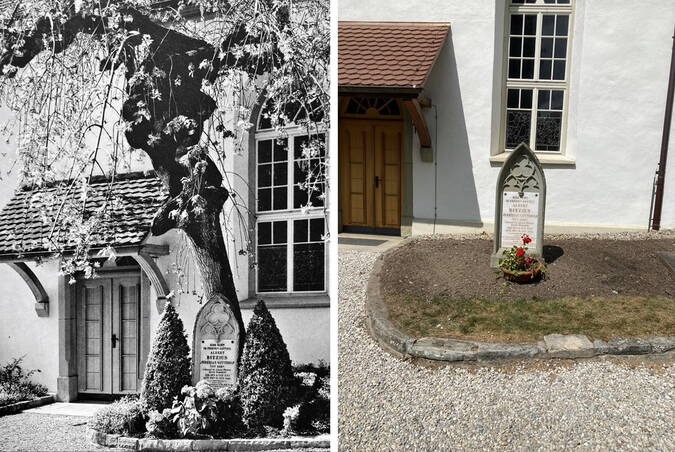 Traueresche (auch Grabesche genannt) bei Gotthelfs Grab gefällt