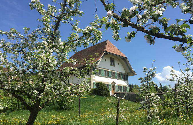 Pfarrhaus Lützelflüh mit blühenden Bäumen