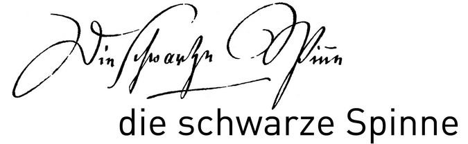 Logo zur Ausstellung "Die schwarze Spinne"