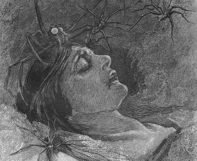 "Schwarze Spinne" Paul Robert