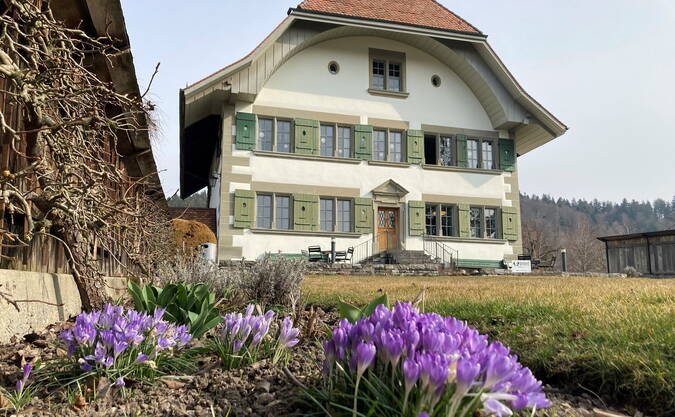 2022_pfarrhaus_mit_krokussen_quer.jpg 2022_pfarrhaus_mit_krokussen_quer.jpg