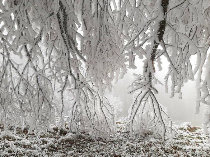 qi_gong_winter.jpg qi_gong_winter.jpg