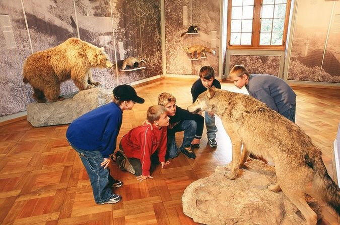 jagdmuseum_schloss_landshut.jpg