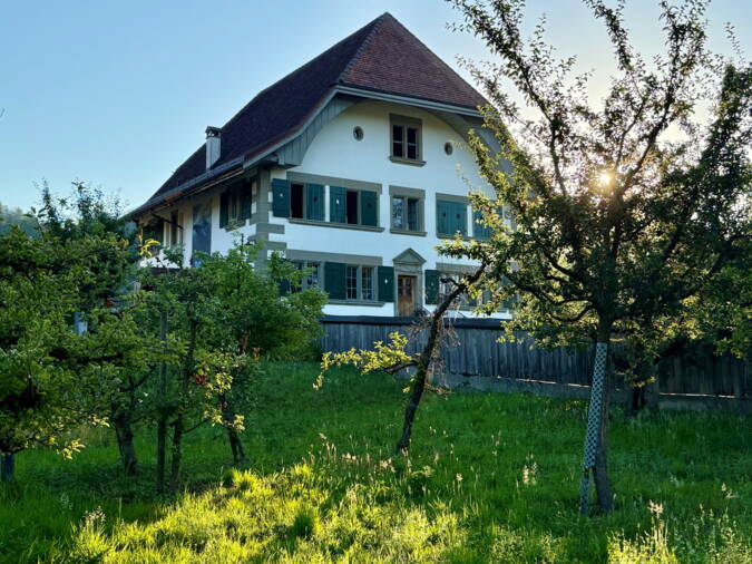 sommer_morgenstimmung.jpg sommer_morgenstimmung.jpg
