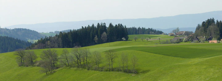 Landschaft bei Schwanden